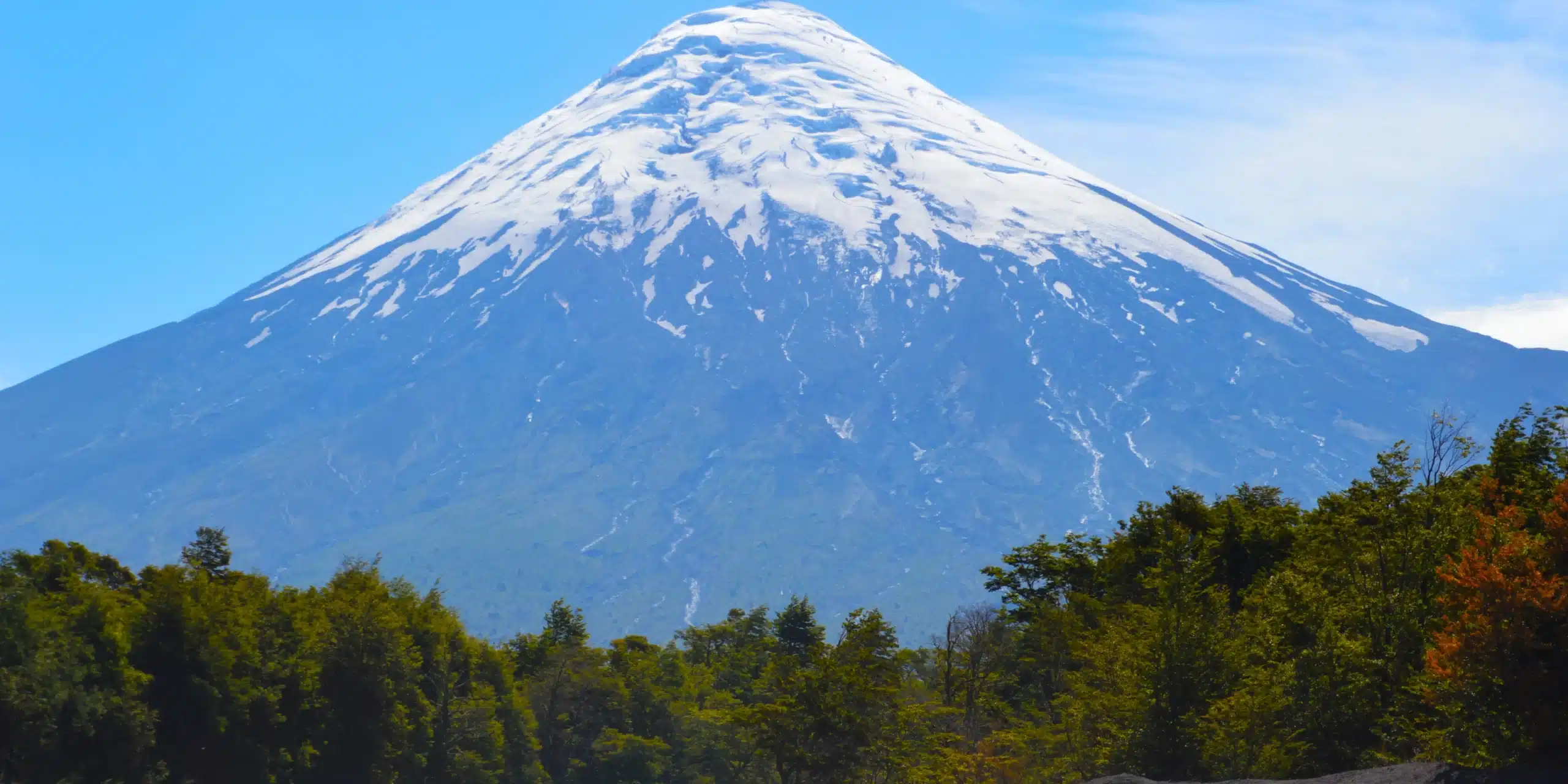proyectos de conservación sustentable